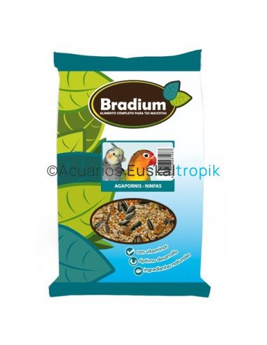 Comida agapornis y ninfas bradium